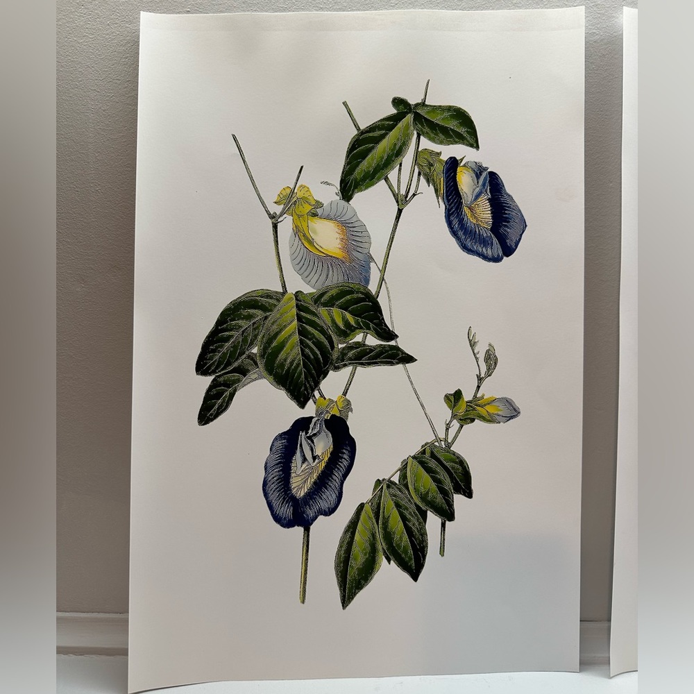 Floral Prints - Picture 3 of 4